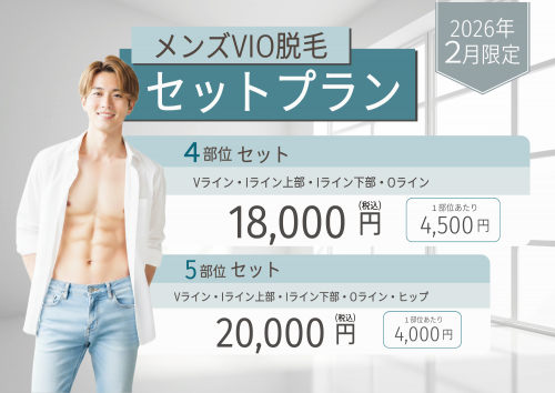 2月限定　メンズVIOセット特別プラン