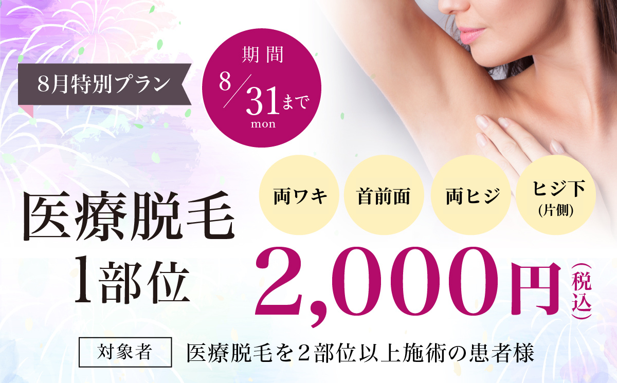 8月限定　緊急特別価格！！