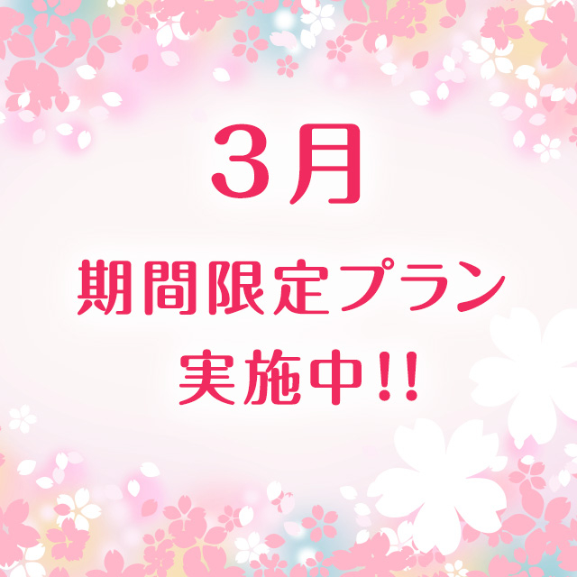 3月限定プラン